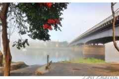 Foggy Morning Fitzroy River Bridge